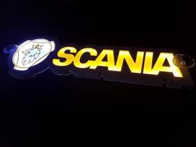 FASEBA PANTALLASCAN - PANTALLA LUZ SCANIA 24 V